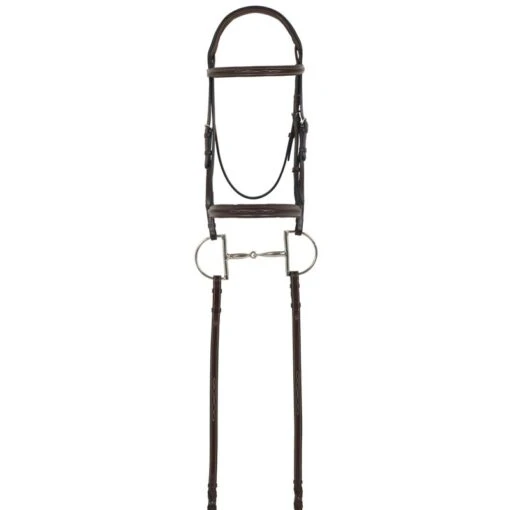 Camelot Gold RCS Fancy Raised Padded Bridle - Australian Nut -Kensington Sales Shop 310857 800 800