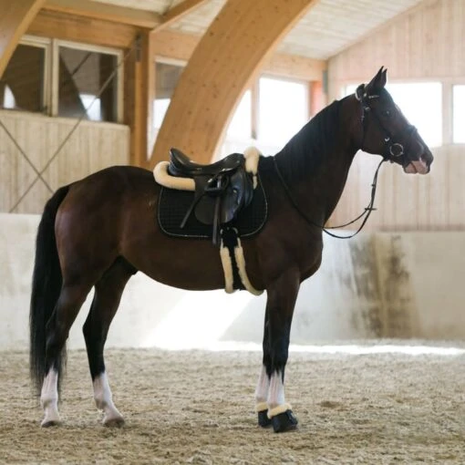 Horze Duchess Dressage Saddle Pad - Black -Kensington Sales Shop 374868 800 800