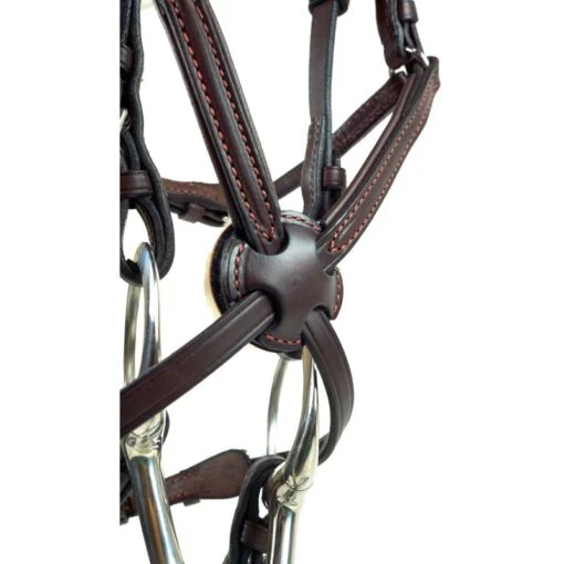 Nunn Finer Fairhill Figure 8 Event Bridle - Havana/Zinc -Kensington Sales Shop 401473 800 800