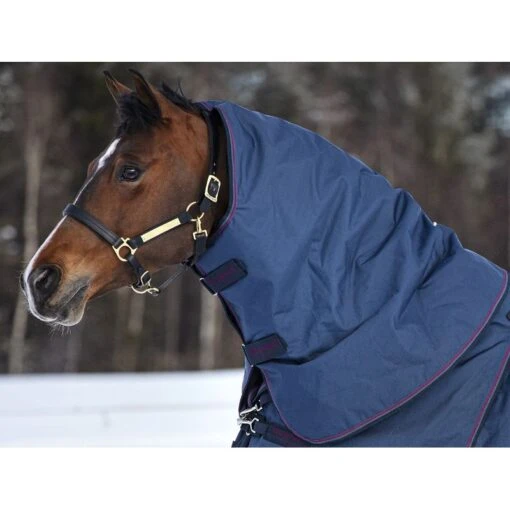 Rambo Optimo Stable Hood 200g - Navy/Burgundy/Teal/Navy -Kensington Sales Shop 444319 800 800