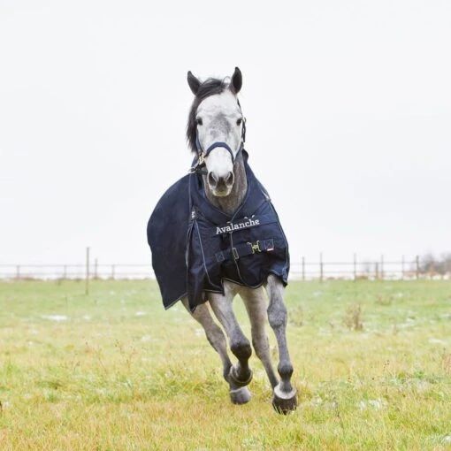 Horze Avalanche Turnout Blanket 300g - Peacoat Dark Blue -Kensington Sales Shop 450342 800 800