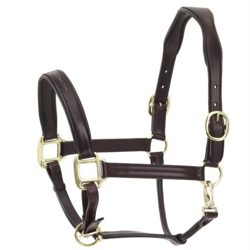 Ovation ATS Fancy Padded Halter - Dark Brown -Kensington Sales Shop 454168 800 800