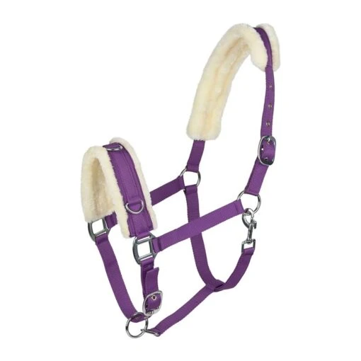 Horze Lunging Cavesson - Purple -Kensington Sales Shop 479705 800 800