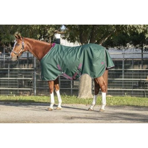 Kensington Signature Medium Weight Turnout - Hunter -Kensington Sales Shop 480418 800 800