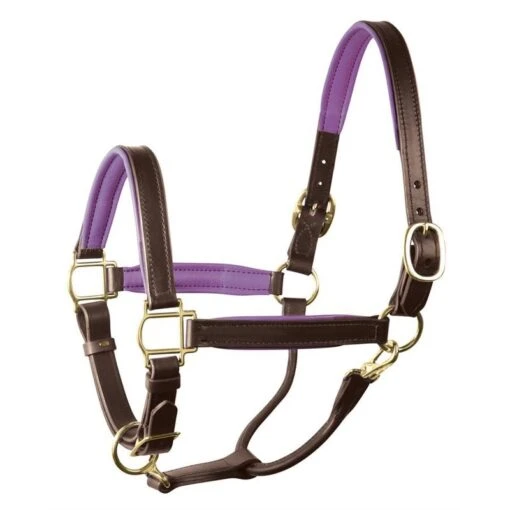 Perri's 1" Padded Leather Halter - Havana/Purple -Kensington Sales Shop 500364 800 800