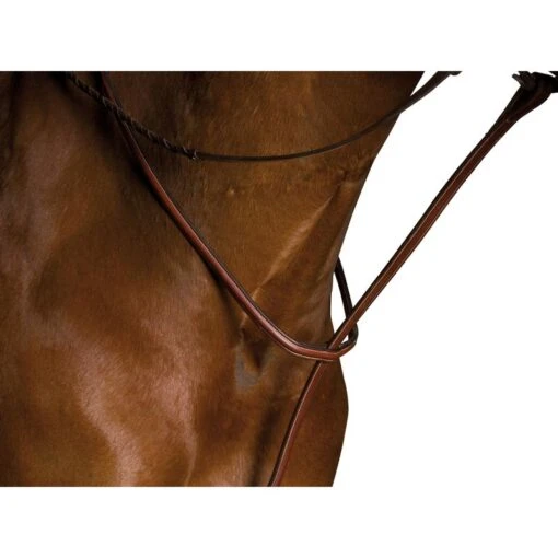 Kincade Raised Martingale Standing - Brown -Kensington Sales Shop 581642 800 800