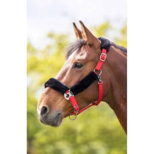 Shires Fleece Lined Headcollar W/Breakaway - Burgundy -Kensington Sales Shop 597472 800 800